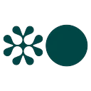 Senior Rust Application Engineer